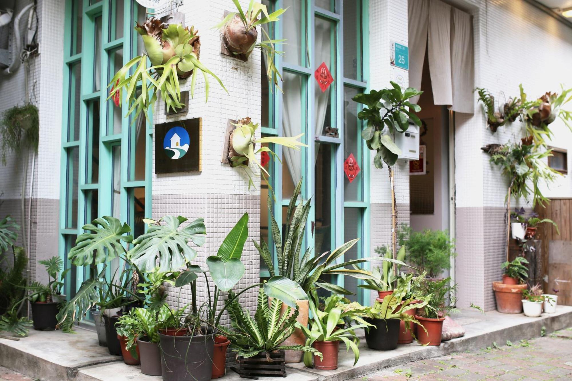 Jimu'S Holiday Home 吉姆俱樂部-台南包棟寵物友善民宿 المظهر الخارجي الصورة